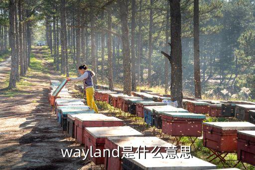 wayland是什么意思