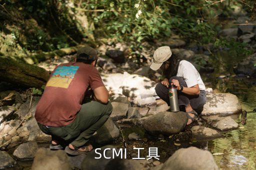 SCMI 工具