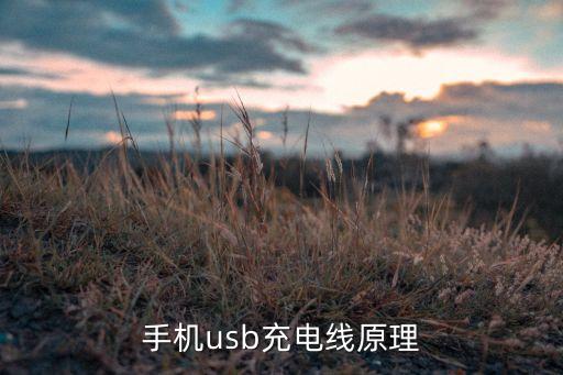 手機(jī)usb充電線原理