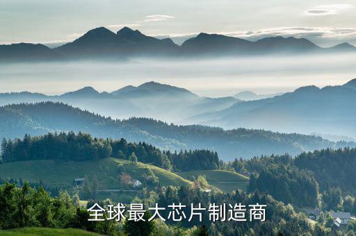 全球最大芯片制造商