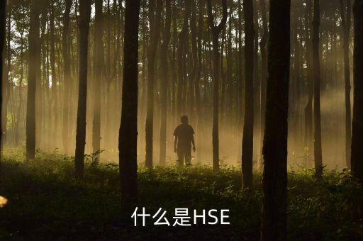 什么是HSE