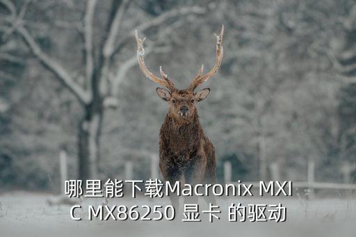macronix，Macronix Mx98715based ethernet adapter是獨(dú)立網(wǎng)卡還是集成網(wǎng)卡