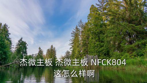 杰微主板，杰微主板c61M3質(zhì)量怎么樣