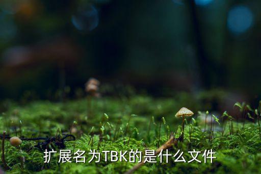 tbk，TBK記賬系統(tǒng)怎么樣