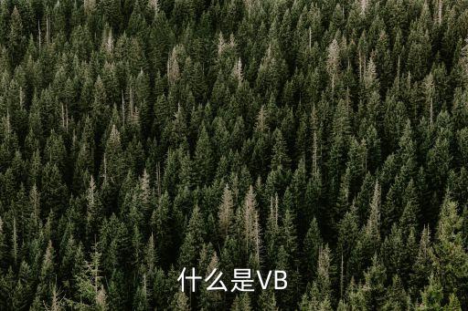 vb，什么是VB
