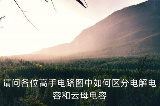 請(qǐng)問(wèn)各位高手電路圖中如何區(qū)分電解電容和云母電容