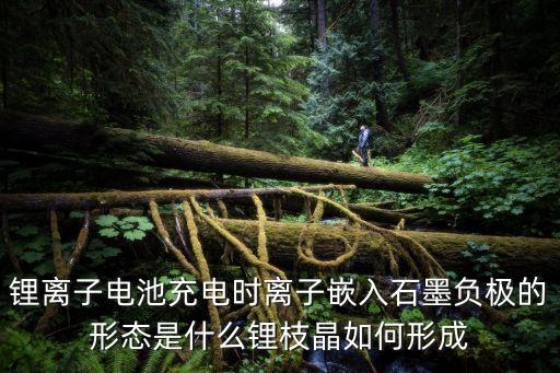 鋰離子電池充電時離子嵌入石墨負極的形態(tài)是什么鋰枝晶如何形成
