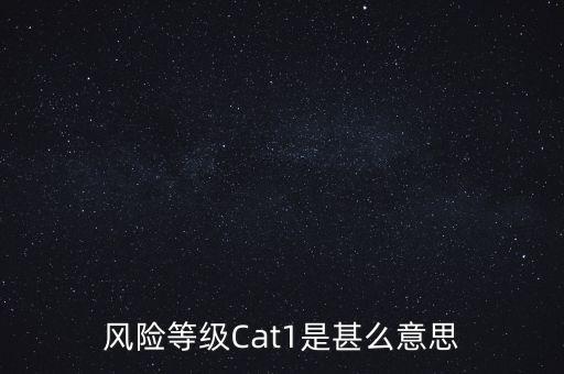 風險等級Cat1是甚么意思