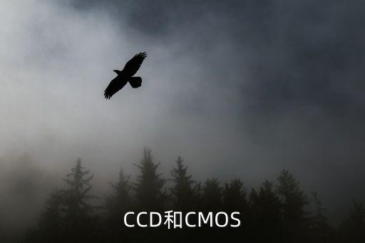 ccd和cmos，ccd和cmos哪個(gè)更好
