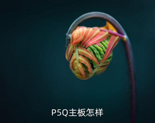 P5Q主板怎樣
