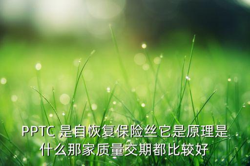 PPTC 是自恢復(fù)保險絲它是原理是什么那家質(zhì)量交期都比較好