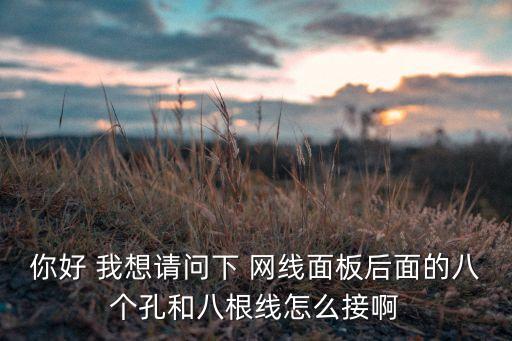 你好 我想請問下 網(wǎng)線面板后面的八個孔和八根線怎么接啊