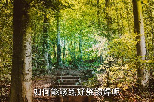 如何能夠練好燒錫焊呢