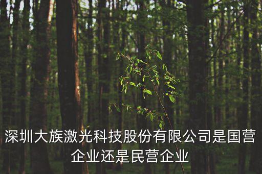 深圳大族激光科技股份有限公司是國(guó)營(yíng)企業(yè)還是民營(yíng)企業(yè)