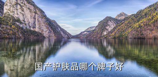 國(guó)產(chǎn)護(hù)膚品哪個(gè)牌子好