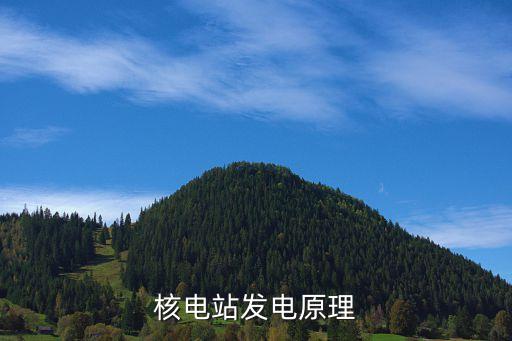 核能發(fā)電原理，核發(fā)電的原理