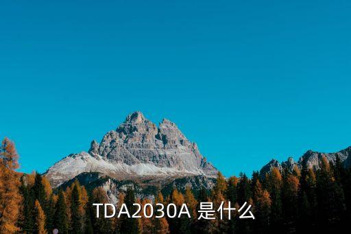 TDA2030A 是什么