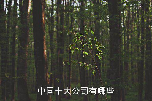 中國(guó)十大公司有哪些