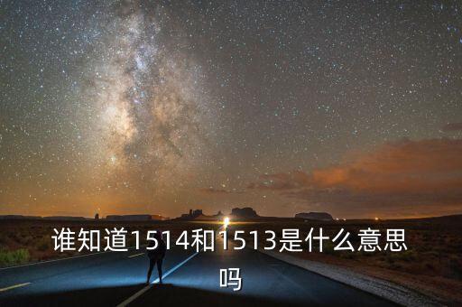 1513，1513在愛情上是什么意思