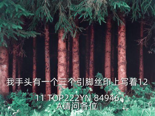 我手頭有一個(gè)三個(gè)引腳絲印上寫(xiě)著1211 TOP222YN 84946A請(qǐng)問(wèn)各位
