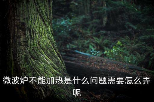 微波爐不加熱，微波爐加熱不了是為什么