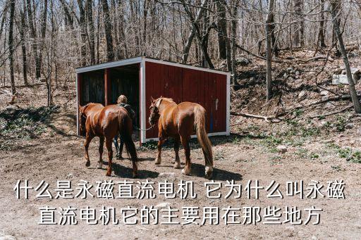 什么是永磁直流電機 它為什么叫永磁直流電機它的主要用在那些地方
