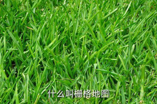 柵格地圖，map raster是什么意思