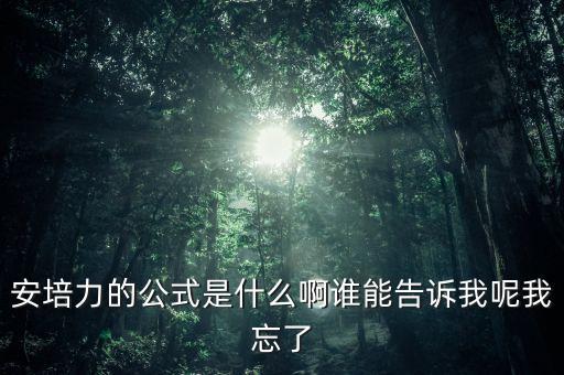 安培力的公式是什么啊誰能告訴我呢我忘了