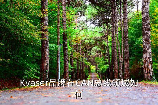 kvaser，kvaser和葩星什么關(guān)系