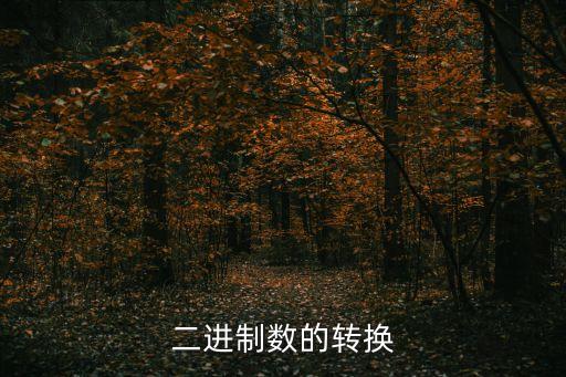 二進(jìn)制數(shù)的轉(zhuǎn)換