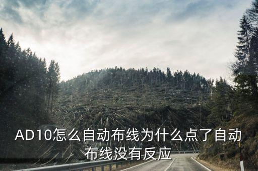 AD10怎么自動(dòng)布線為什么點(diǎn)了自動(dòng)布線沒(méi)有反應(yīng)