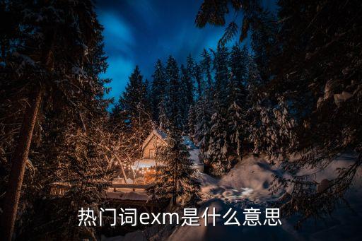 exm，熱門詞exm是什么意思