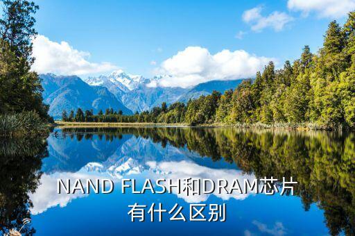 Dram芯片，DRAM和SRAM的主要差別是什么為什么DRAM芯片的地址一般要分