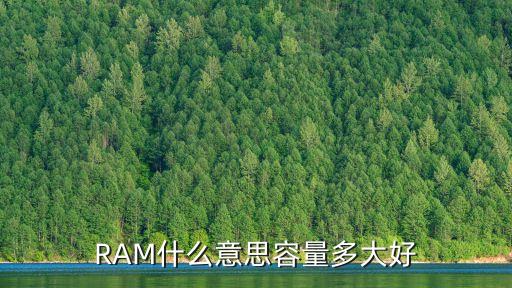 RAM什么意思容量多大好