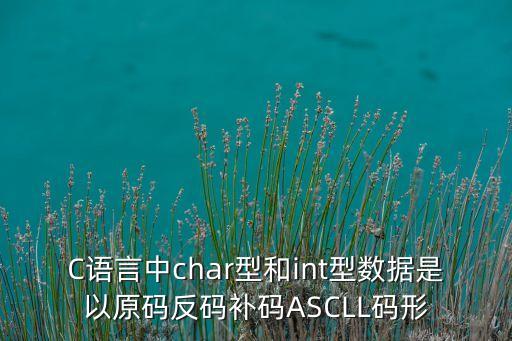 C語言中char型和int型數(shù)據(jù)是以原碼反碼補碼ASCLL碼形
