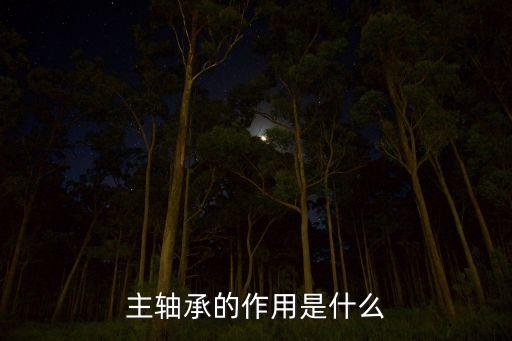 軸承作用，齒輪上的軸承起什么作用