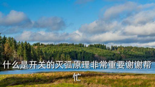 什么是開關(guān)的滅弧原理非常重要謝謝幫忙