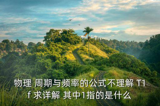 物理 周期與頻率的公式不理解 T1f 求詳解 其中1指的是什么