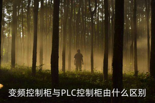 變頻控制柜與PLC控制柜由什么區(qū)別