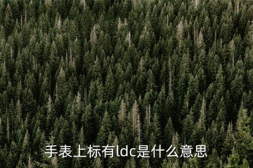 ldc，LDC是什么意思