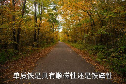 鐵有磁性嗎，單質(zhì)鐵是具有順磁性還是鐵磁性