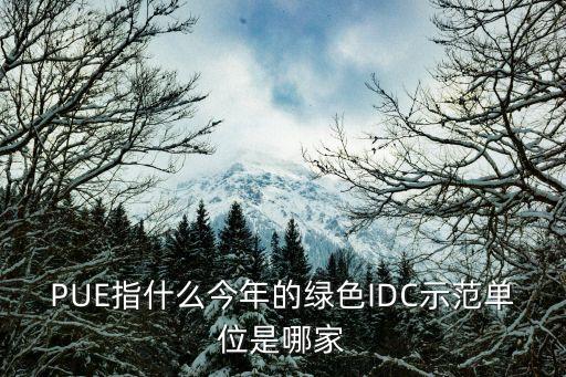 PUE指什么今年的綠色IDC示范單位是哪家