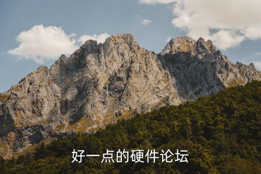 好一點(diǎn)的硬件論壇