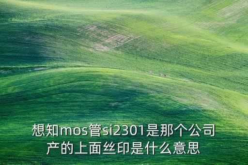 想知mos管si2301是那個(gè)公司產(chǎn)的上面絲印是什么意思