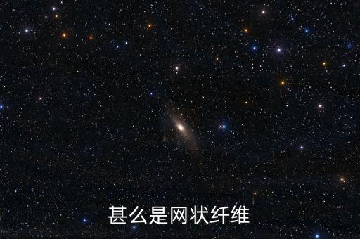 甚么是網(wǎng)狀纖維