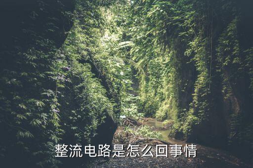 整流電路是怎么回事情