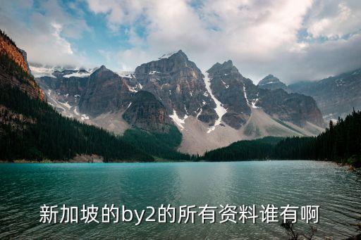 新加坡的by2的所有資料誰(shuí)有啊
