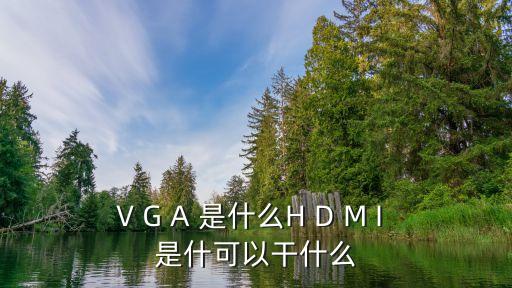 V G A 是什么H D M I 是什可以干什么
