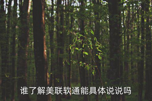 誰了解美聯(lián)軟通能具體說說嗎