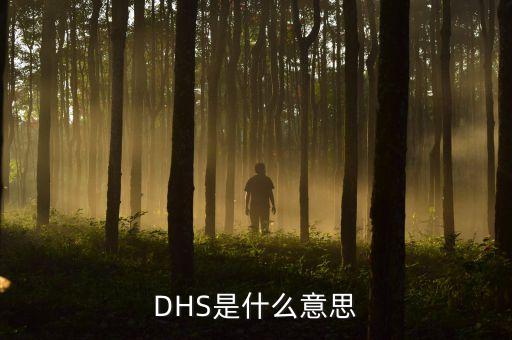 DHS是什么意思